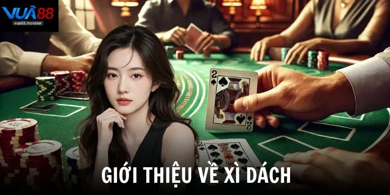 Giới thiệu về xì dách và tầm quan trọng của cách chơi
