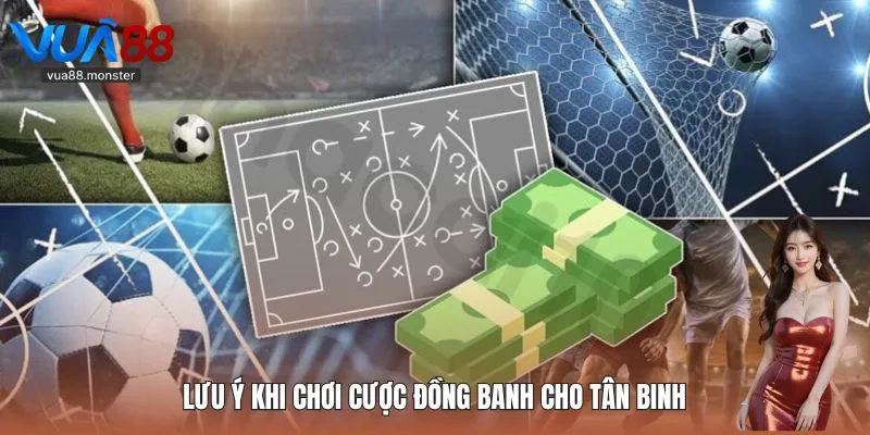 Lưu ý khi chơi cược đồng banh cho tân binh